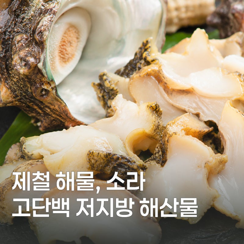 여름 제철 소라 효능과 칼로리 먹는 법 정리