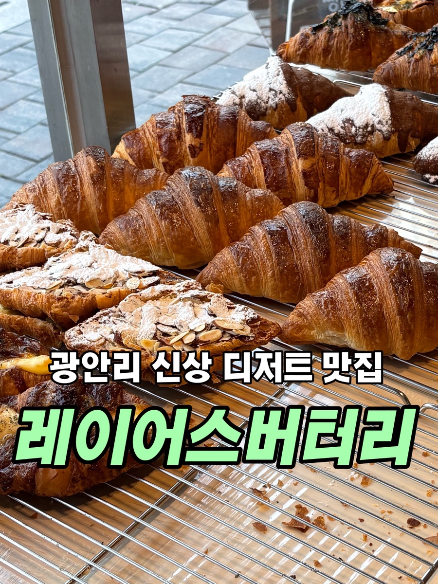 레이어스 버터리 사진 1