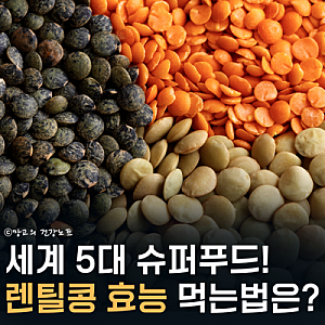 5대 슈퍼푸드 렌틸콩 효능은? | 종류, 영양성분, 부작용 먹는법