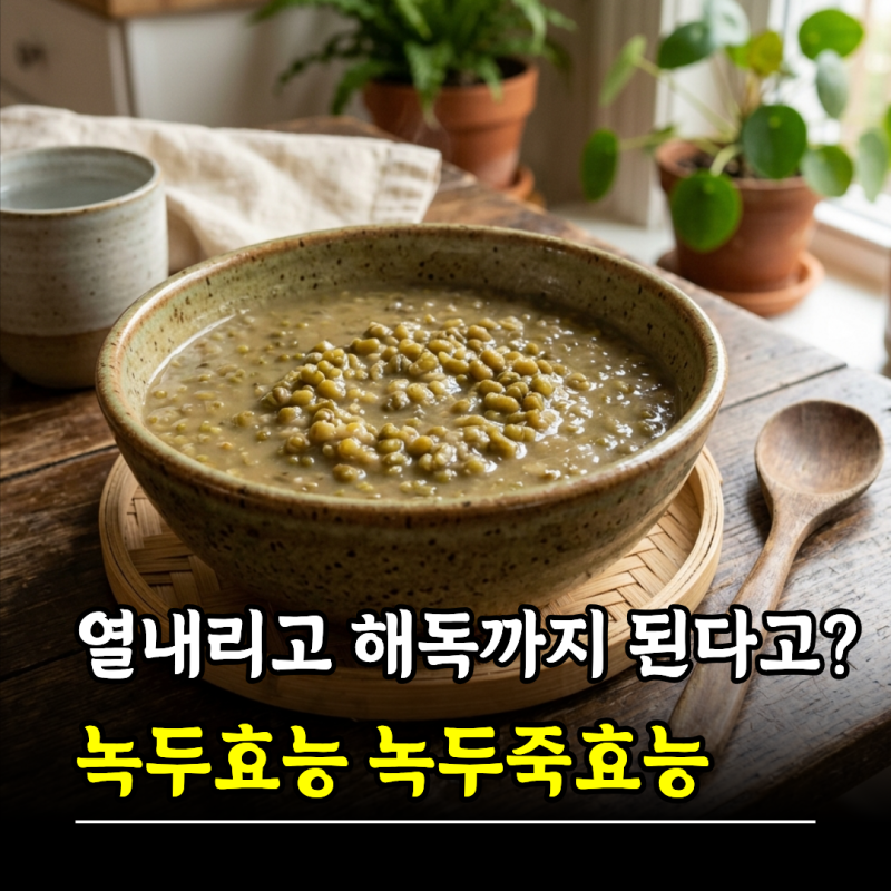 열 내리고 해독까지 된다고? 녹두효능 녹두죽효능