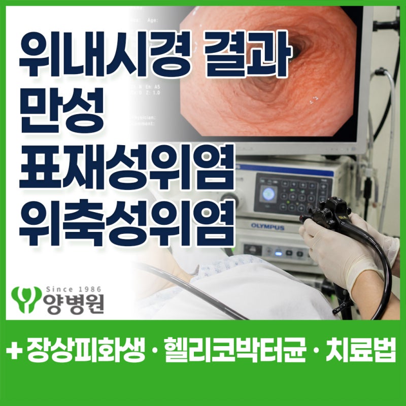 위내시경 결과에 만성 표재성 위염 · 위축성 위염이라고 나왔다면? 장상피화생·헬리코박터....