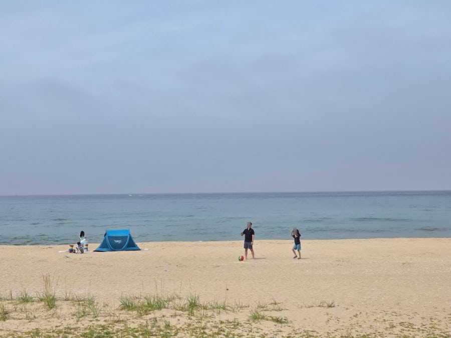 페리카나 망상점 사진 1