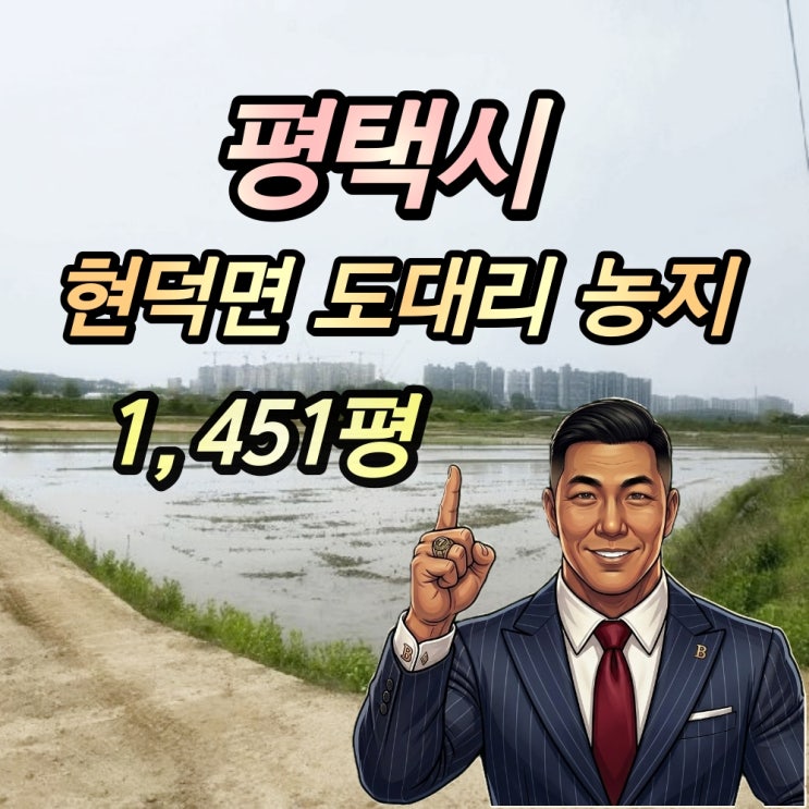  평택 현덕면 도대리 농지 경매 1450평 2025타경594