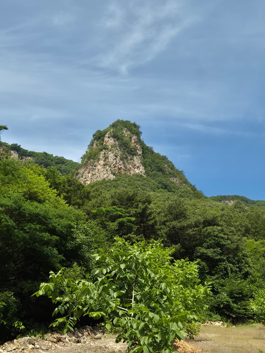 노고산 사진 4