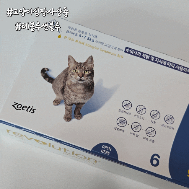 초보 집사 필독! 부작용 줄이고 효과 높이는 고양이 심장사상충약 바르는 법(feat.레볼루션 블....