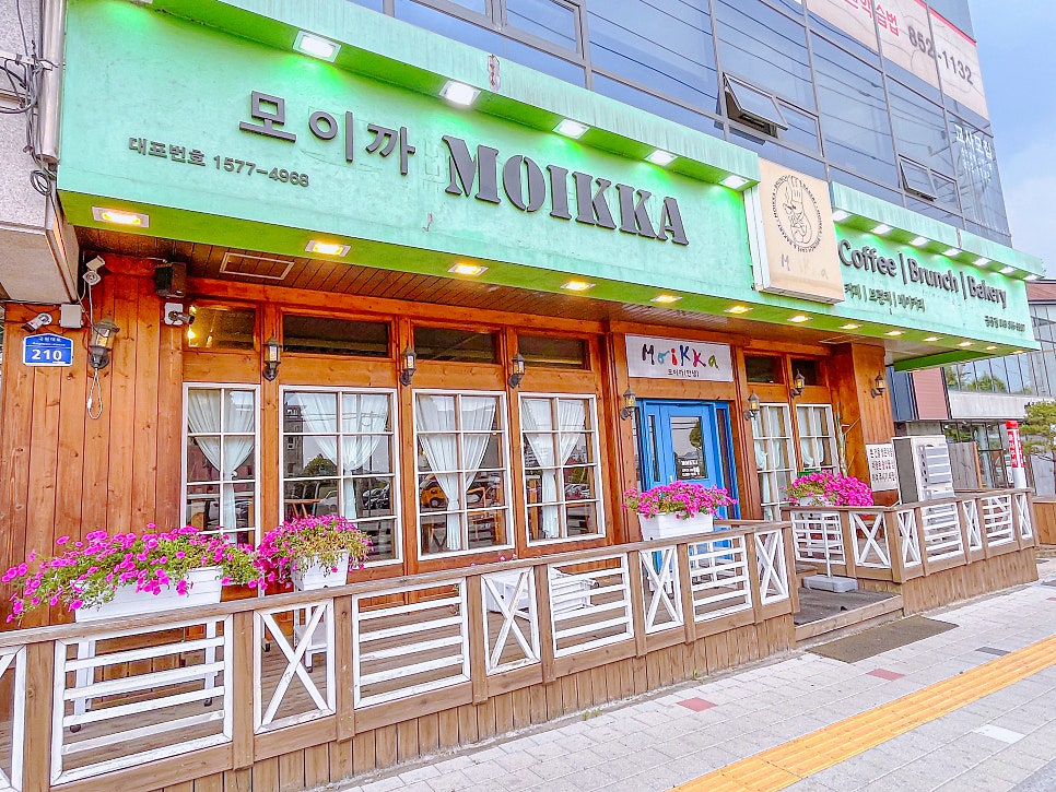 모이까 사진 1