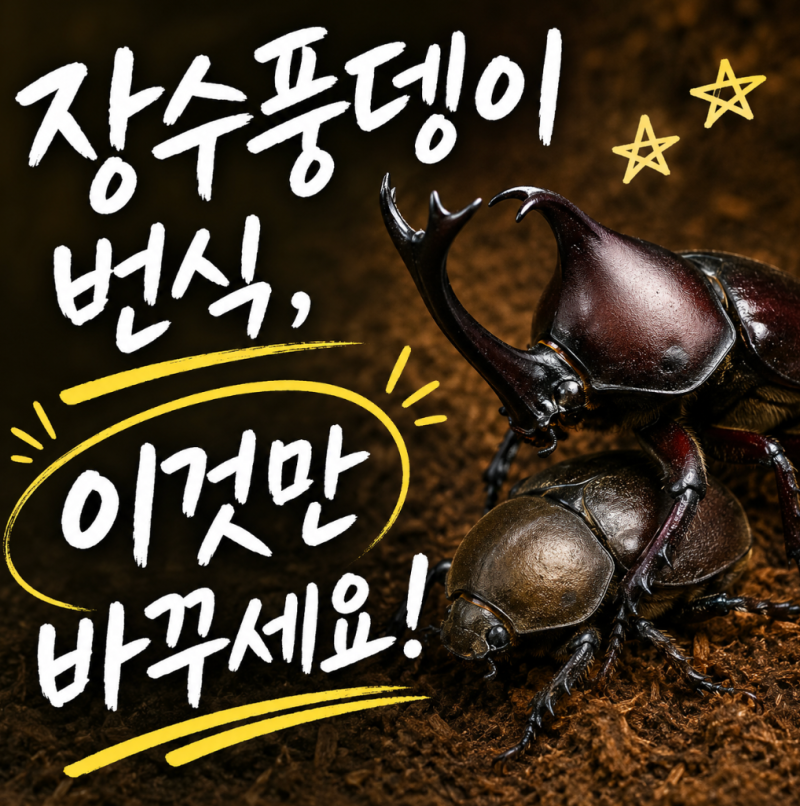 장수풍뎅이 짝짓기 성공율 높이는 암컷 수컷 합사환경