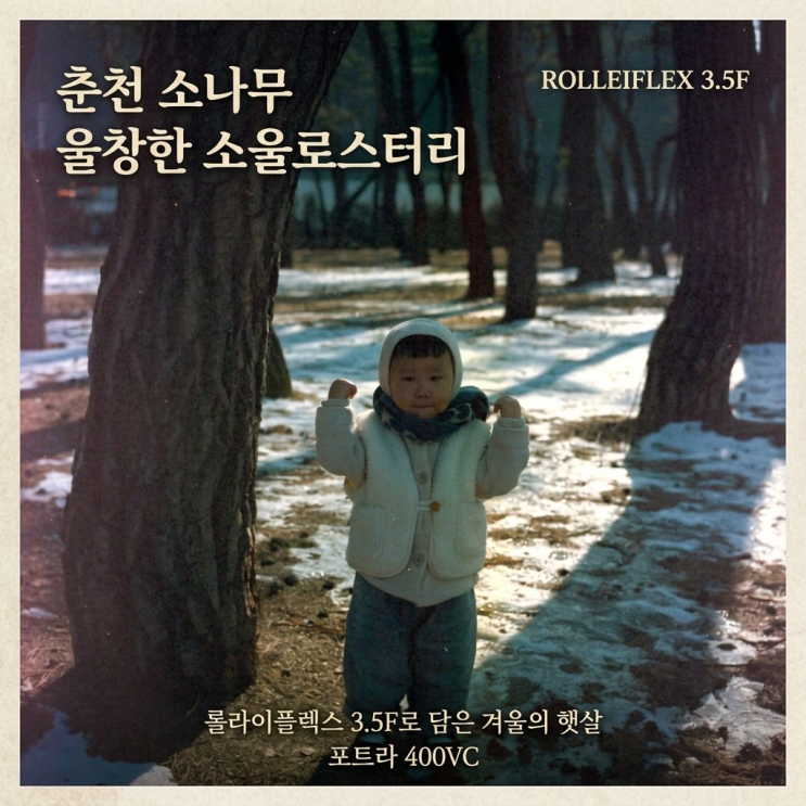  롤라이플렉스 3.5F | 유효기간 지난 중형필름 포트라400VC | 춘천대형카페 소나무숲을 품은 소울로스터리