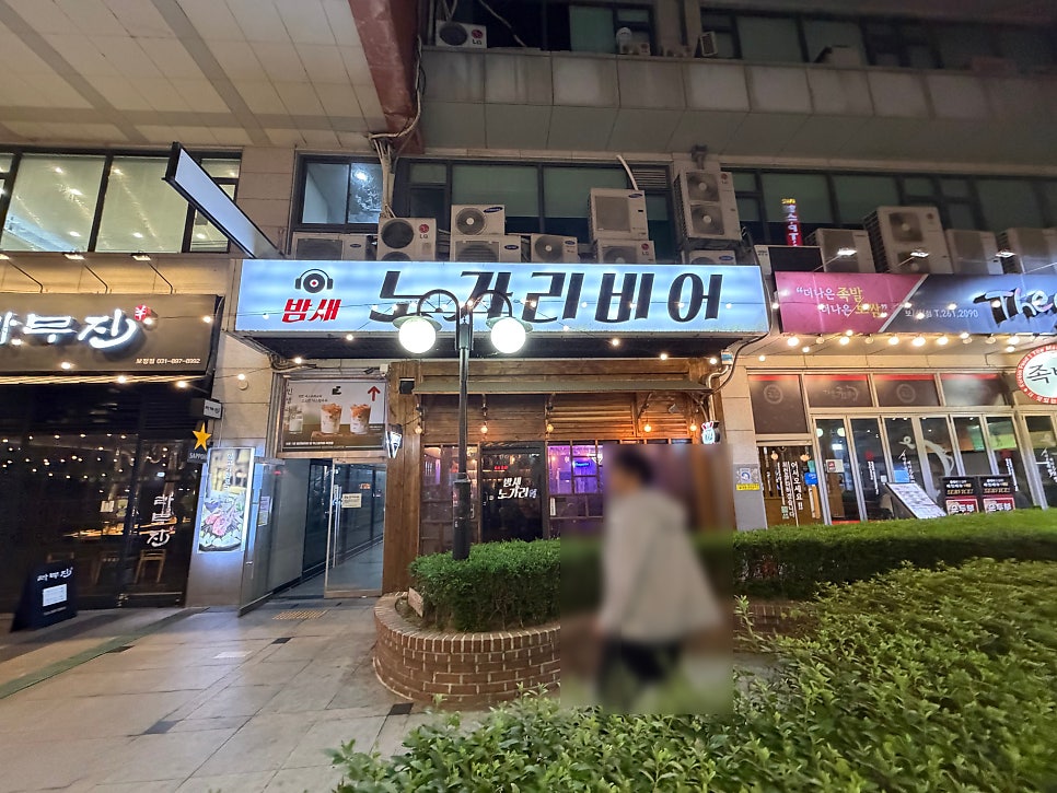 밤새노가리 사진 2