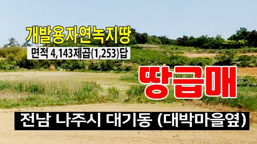 뒷골 사진 1