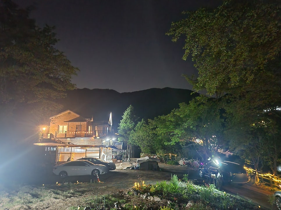 피노포레 사진 1