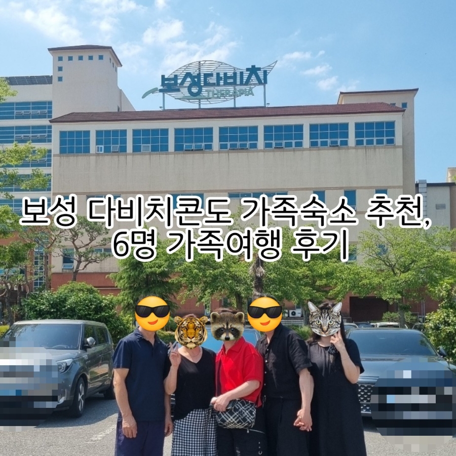 보성다비치콘도 사진 1