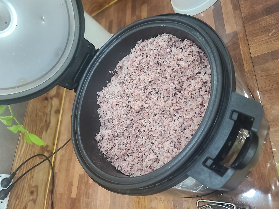 단골집 사진 5