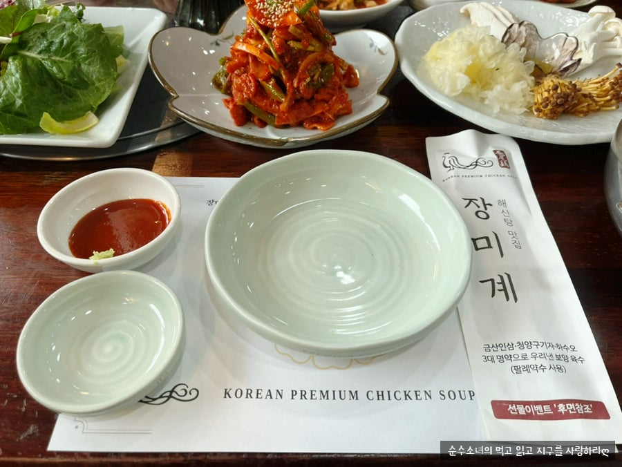 장미계 사진 3