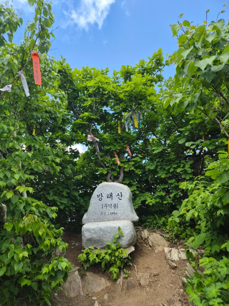 방태산 최단코스 등산 후기, 자연휴양림 제2주차장에서 정상까지 왕복 3시간 코스