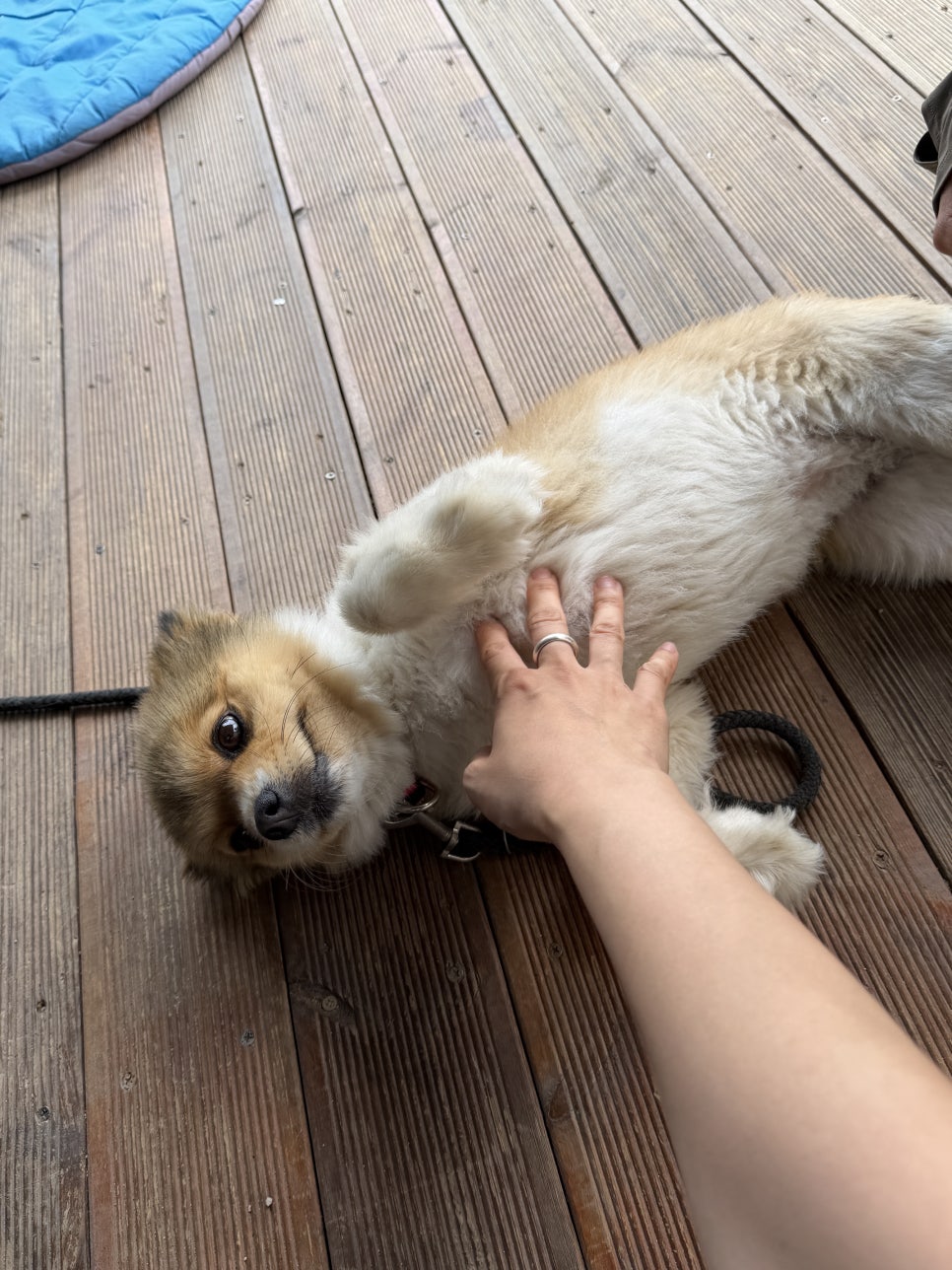 또보리캠프 사진 4
