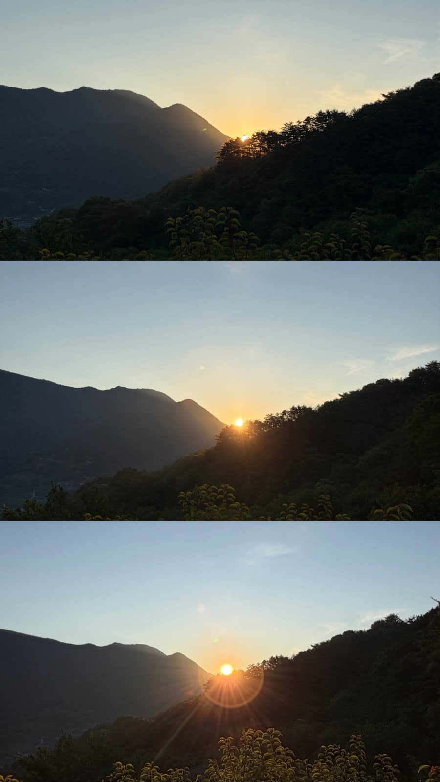 지리산을 유영하는 큰고래 사진 1