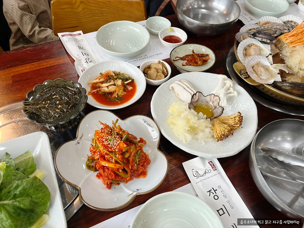 장미계 사진 4