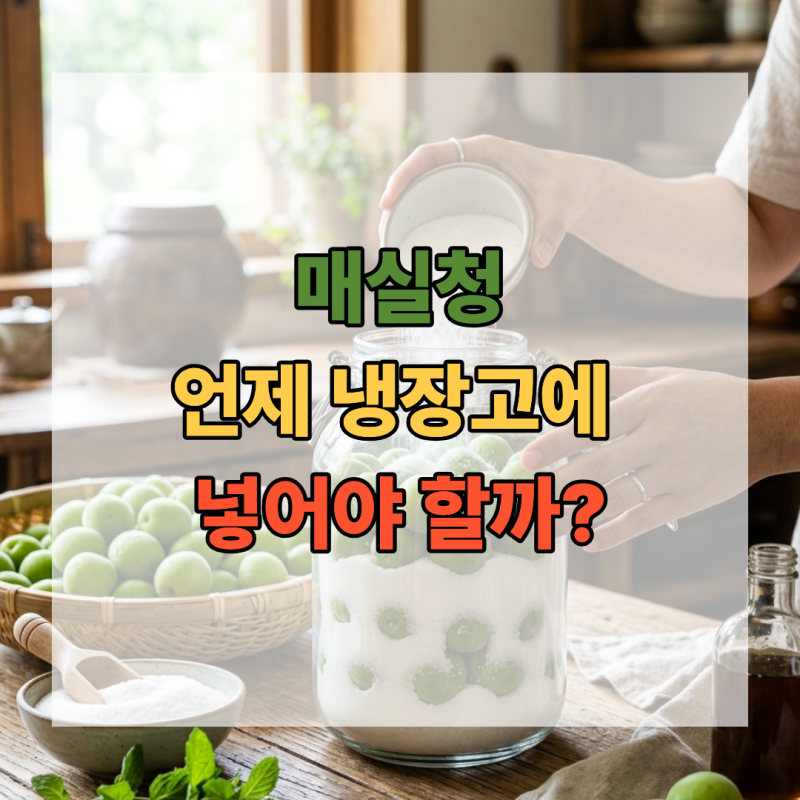 매실청 언제 냉장고에 넣어야 할까? 3년 숙성해도 괜찮을까?