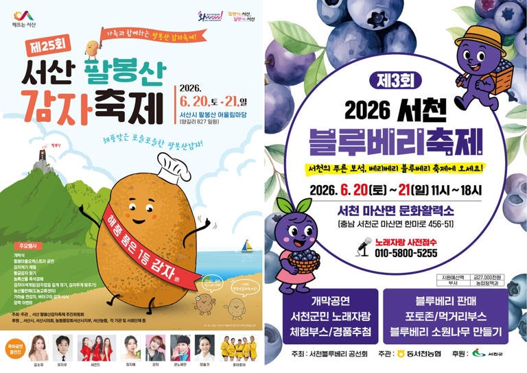 이번 주말 충남 가볼만한곳, 서산 감자축제·서천 블루베리축제 열린다