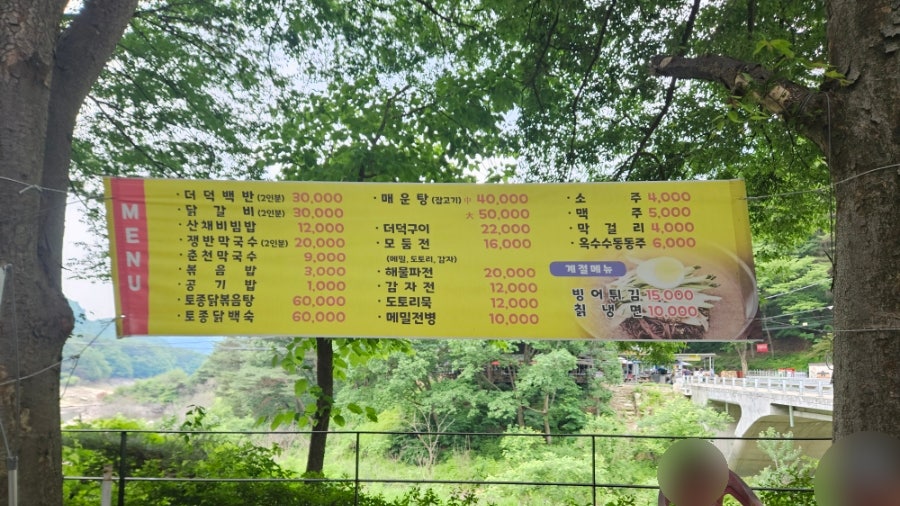 숲카페 사진 2