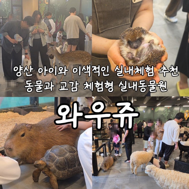 양산 아이와 가볼만한곳 동물과 교감체험형 이색 실내동물원 와우쥬