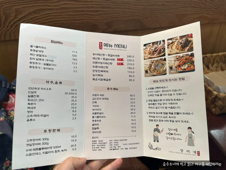 장미계 사진 2