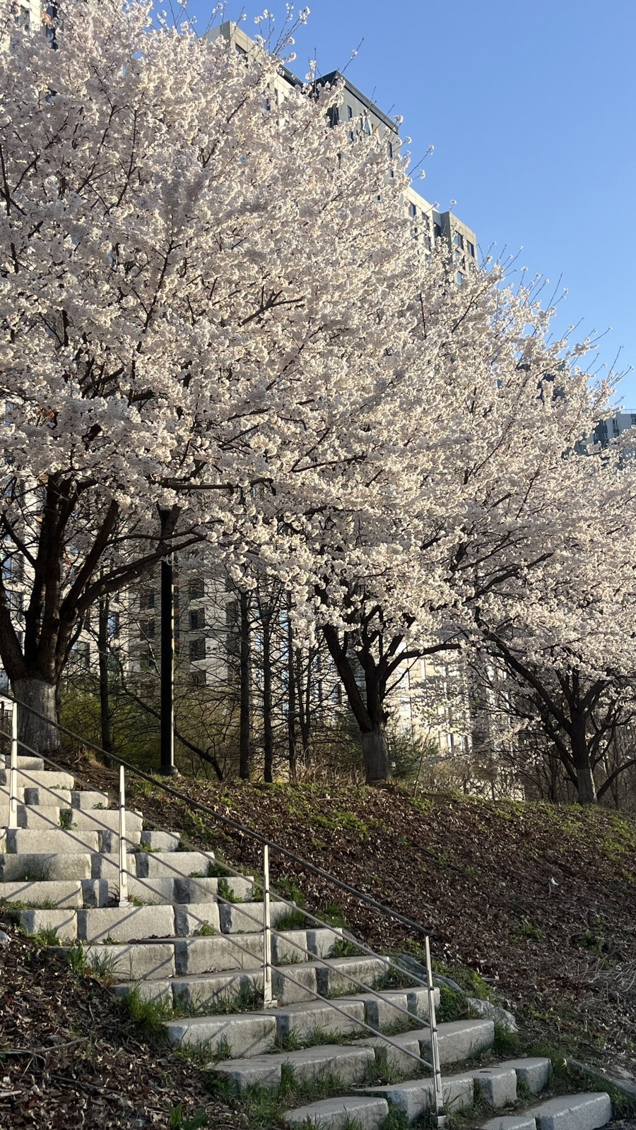 구쁨미쁨포차 사진 1