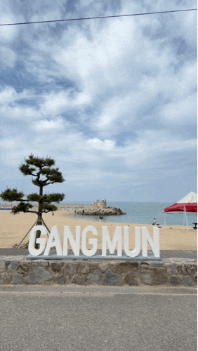 강릉아이랑가볼만한곳, 카페거리까지 완벽한 강릉강문해변