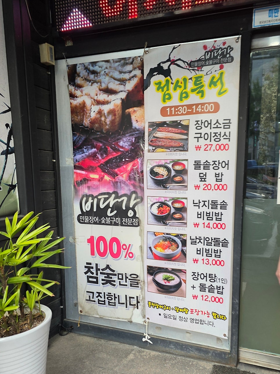 비단강장어 사진 4