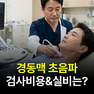 경동맥 초음파 검사 비용 얼마일까? 검사 방법 및 실비 가능 여부