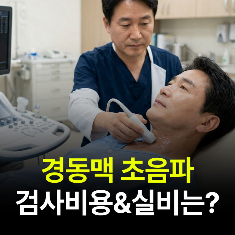 경동맥 초음파 검사 비용 얼마일까? 검사 방법 및 실비 가능 여부