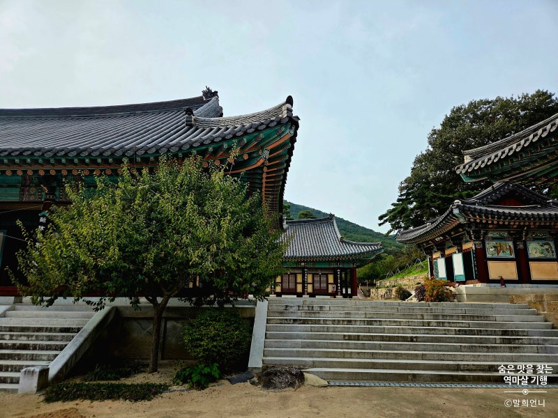 영천 여행 은해사 팔공산 천년 사찰 주차·코스·볼거리·운영시간 총정리│영천1박2일EP7