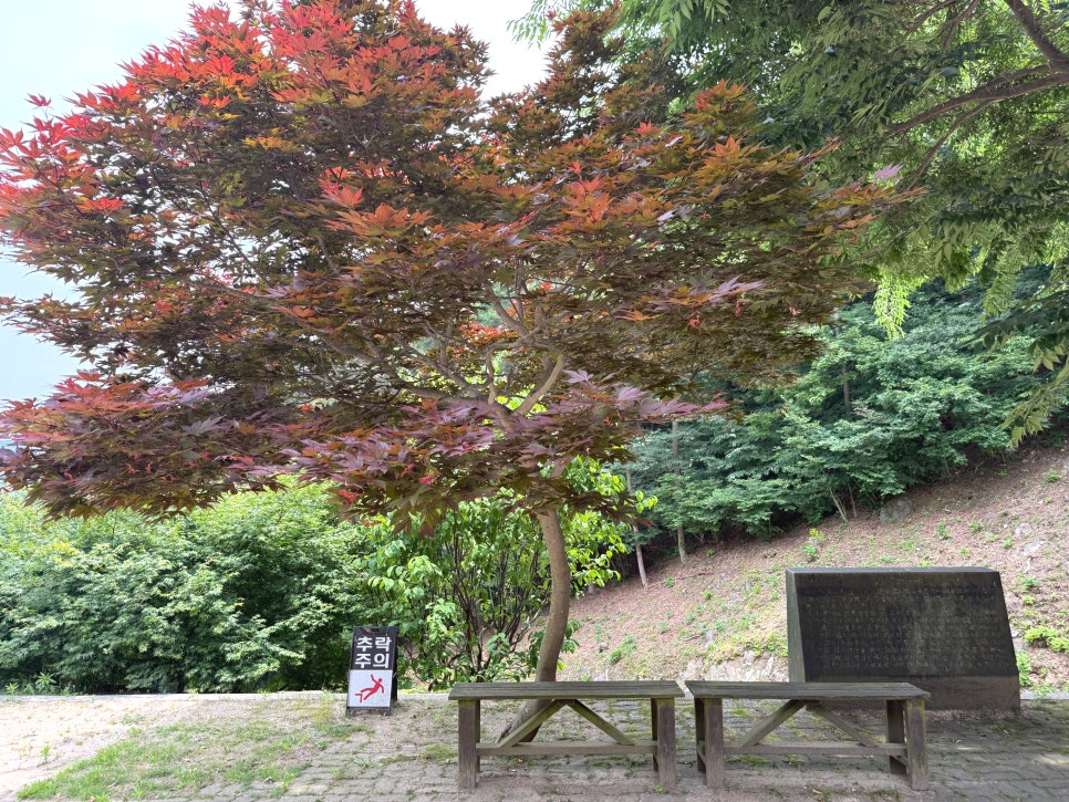 청룡산 사진 5