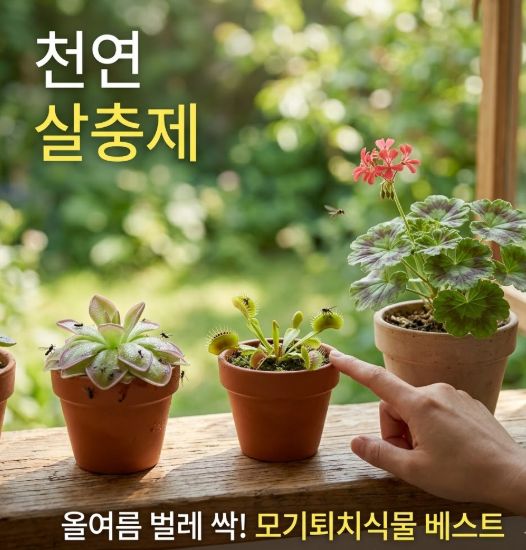 올여름 모기 초파리 지옥행! 살충제 없이 집안 벌레 싹 잡아내는 천연 모기퇴치식물 BEST5