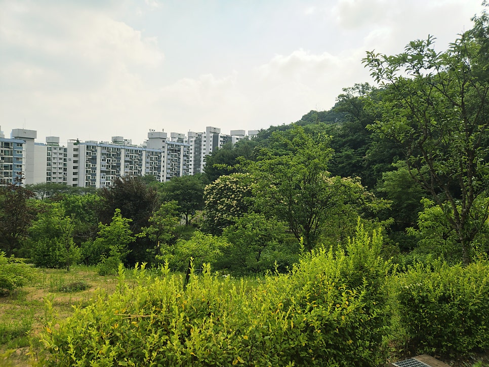 봉평메밀로 사진 6