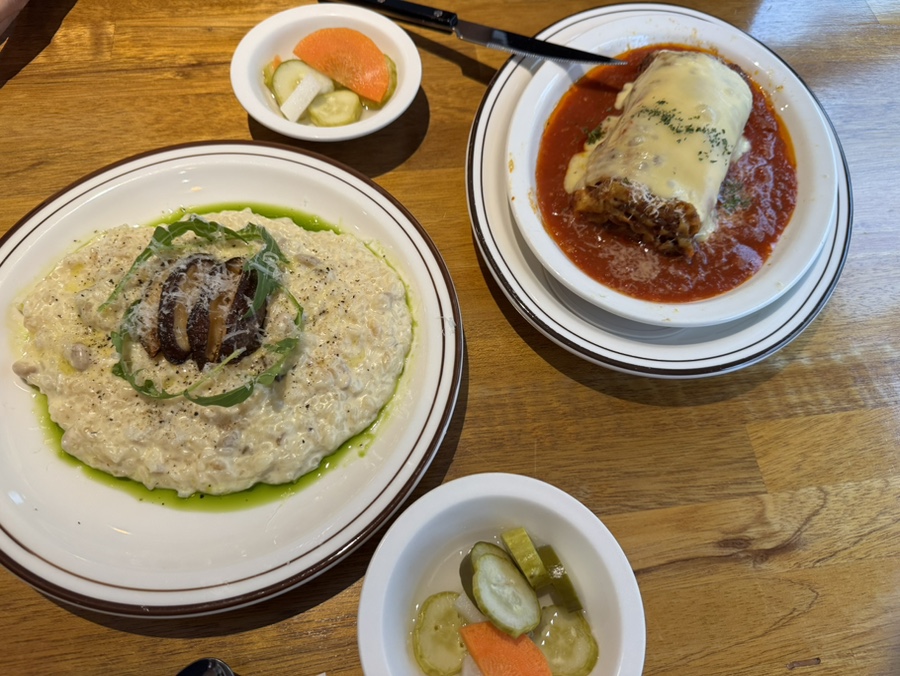 마토스 사진 5