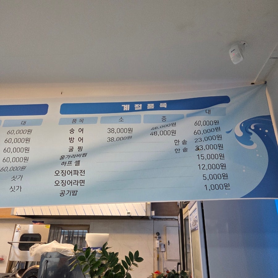 날라리숑오징어 사진 4