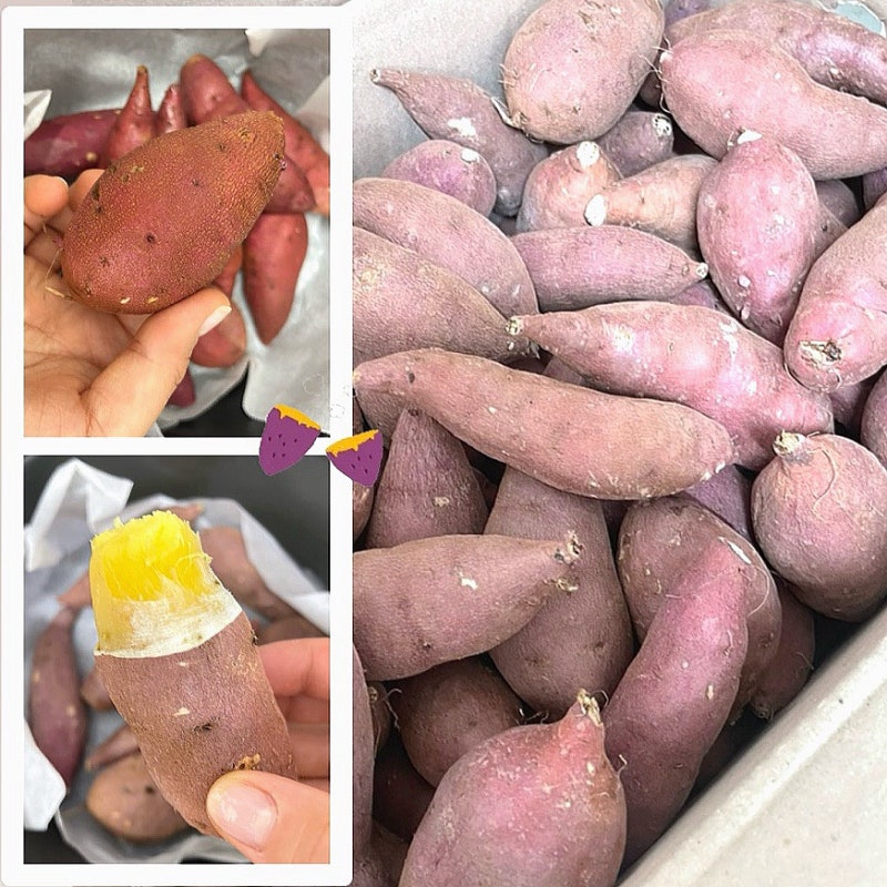 에어프라이어로 간편하게 즐기는 5kg 고구마 남도장터 한입 고구마 추천