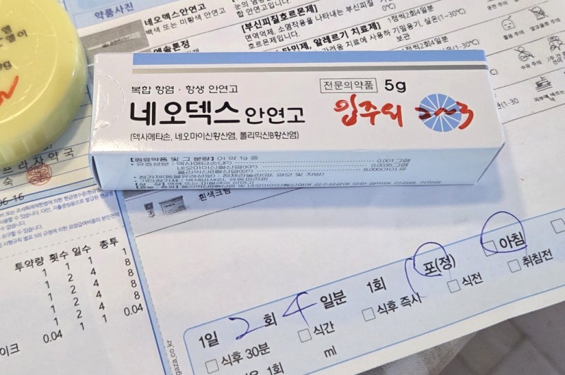 만성 구순염 피부과 다녀온 후기｜네오덱스 안연고 처방받았어요