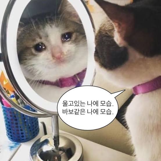 가이오국수 홍제역점 사진 4