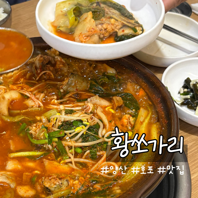 황쏘가리 사진 1