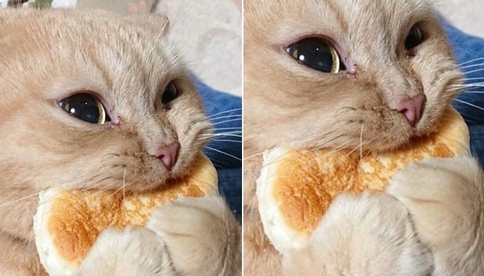가이오국수 홍제역점 사진 2