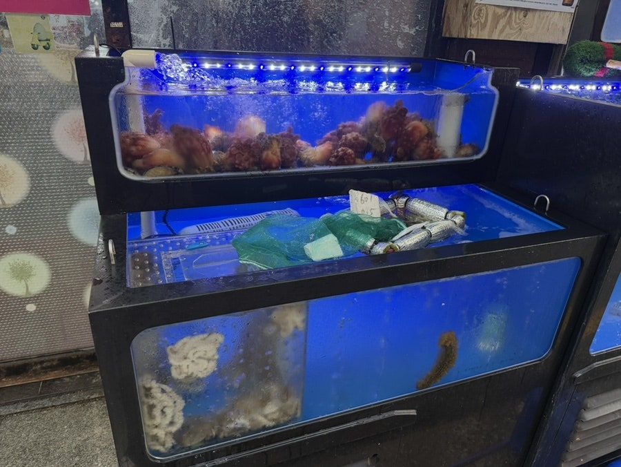 바다회천국 사진 3
