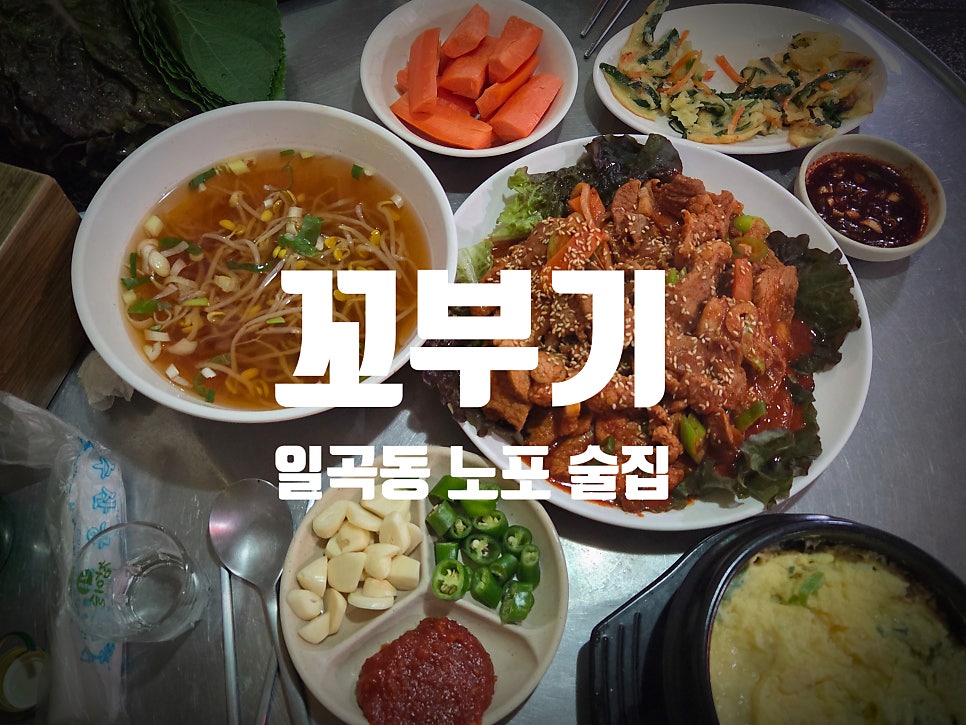꼬부기 사진 1