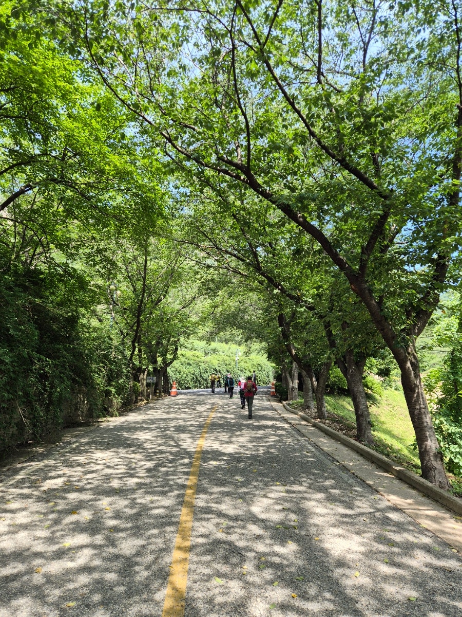 노고산 사진 2