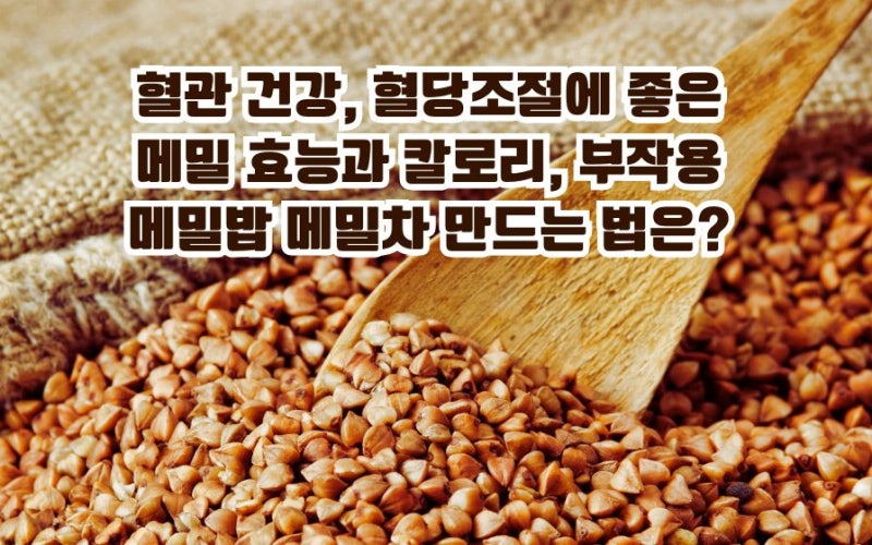 메밀 효능 혈당 혈관에 좋은 메밀밥 차 면 먹는법과 칼로리, 부작용