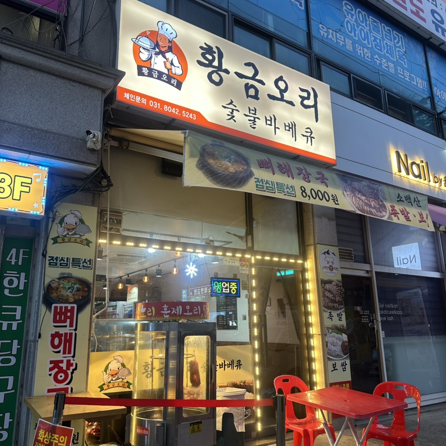 황금오리 사진 1