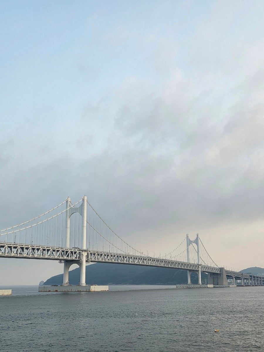 합동회초장 사진 2