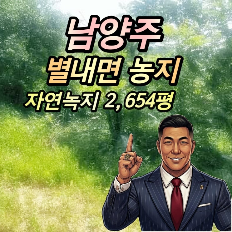  남양주 별내면 농지 경매 용암리 2600평 반값 2025타경71762